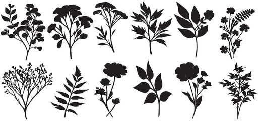 Set of botanical silhouettes of various branches with leaves, herbs, berries. Vector © shahzad