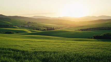 Obraz premium Golden Hour Over Rolling Hills