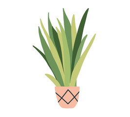 Succulent plant in pot. Garden house indoor flowerpot. Home plant for interior decor. Vector flat illustration