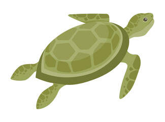 Marine turtle swimming gracefully in the ocean, highlighting the beauty of marine life. The turtle is green and surrounded by blue ocean waters, symbolizing environmental conservation.