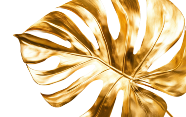 Gold tropical a leaf Monstera on transparent background, png	