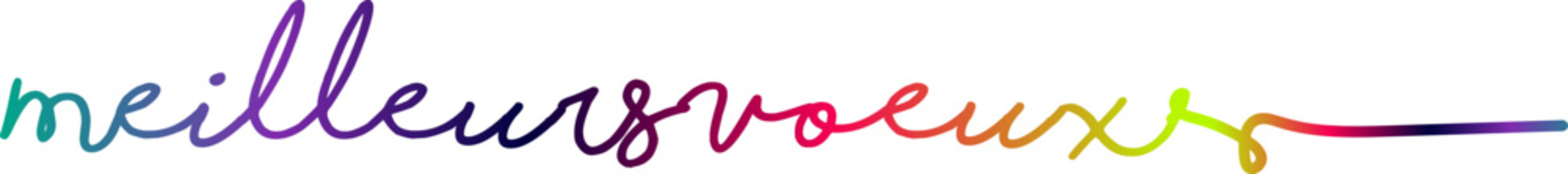 MEILLEURS VOEUX text, gradient text, text design