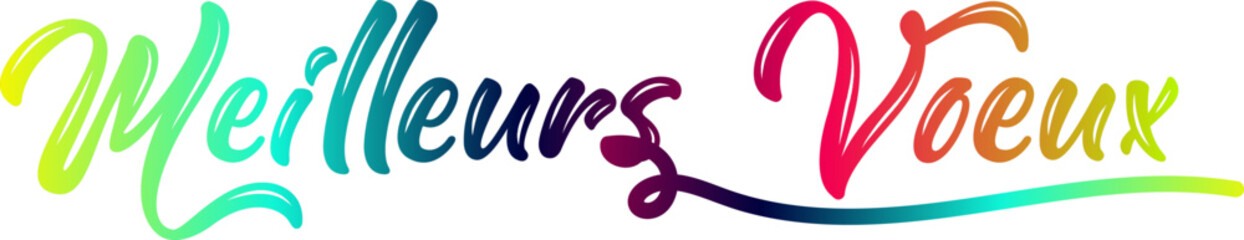 MEILLEURS VOEUX text, gradient text, text design