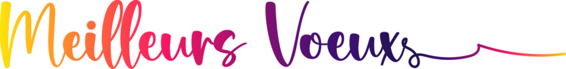 MEILLEURS VOEUX text, gradient text, text design