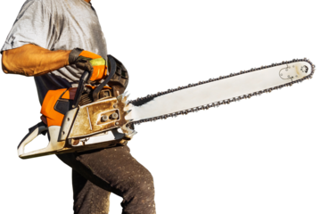 A lumberjack with a chainsaw works. Isolated .