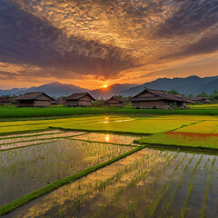 Vibrant oil on canvas capturing the warm hues of a sun ai photo