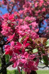 Photo taken with Focos