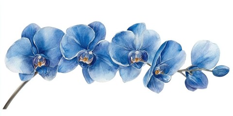 Watercolor Painting of Blue Orchid Flowers