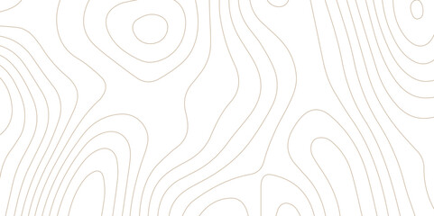 Abstract wave paper curved reliefs background .gradient multicolor wave curve lines banner background design .topographic contours map background .Vector geographic contour map.	