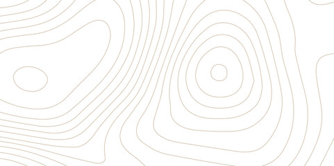 Abstract wave paper curved reliefs background .gradient multicolor wave curve lines banner background design .topographic contours map background .Vector geographic contour map.	