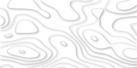 geometric papercut wave shape abstract white background, vector illustration 3d papercut wave line geometric curved white background, Topographic map of geology and contour map.