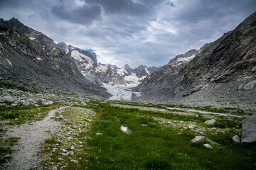 Die Wiese vor dem Gletscher