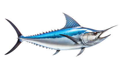 Obraz premium PNG Animal shark fish white background.