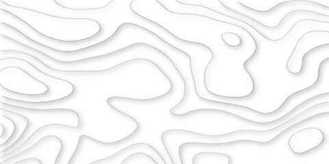 geometric papercut wave shape abstract white background, vector illustration 3d papercut wave line geometric curved white background, Topographic map of geology and contour map.