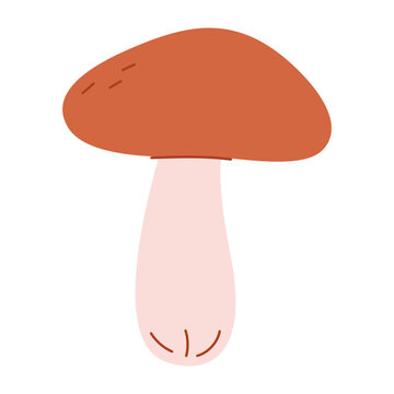 recommend clip art: Autumn edible mushroom, fungus icon. Leccinum, natural fall season food. Fresh fungi with gilled cap, stalks, stipe.