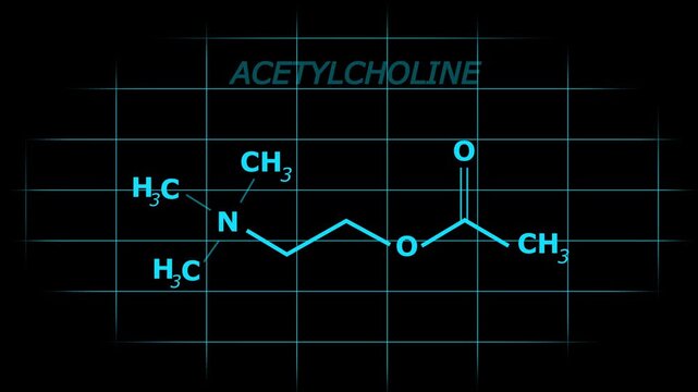Acetylcholine or ACH  Molecular Structure Symbol Neon Animation on  with grid background