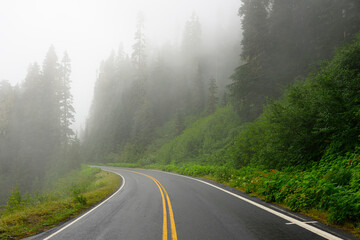 Fototapeta premium Two lane road curves towards misty trees past lush green vegetation