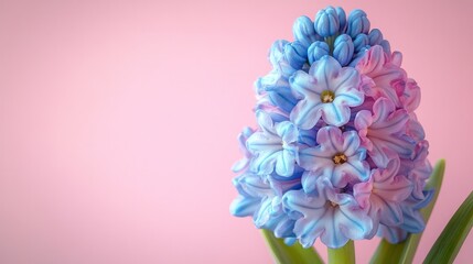 Fototapeta premium A blue and white flower with a pink center. Generative AI