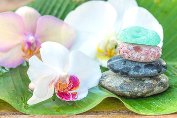 Beautiful spa composition: white and pink orchid flowers and stones pyramid on the wet banana leaf on sunlight