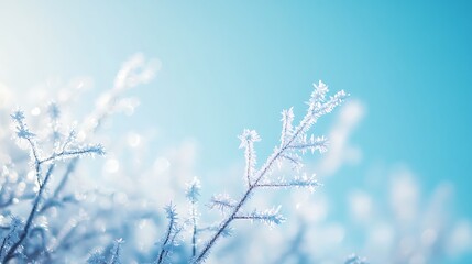 Obraz premium Ethereal Ice Crystals in Minimalist Frost Blue Scene