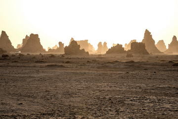 Moon landscape of limestone chimneys geological rock formations in a sunset rays at the bottom of dried salt lake Abbe, Djibouti