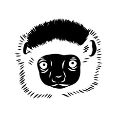 Verreaux's sifaka - vector illustration sketch hand drawn with black lines