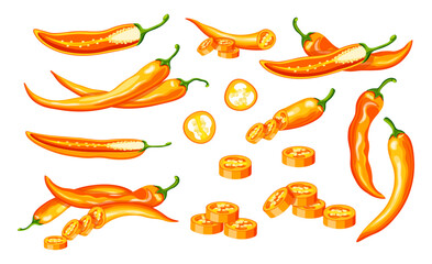 Set of hot orange chili peppers in cartoon style. Vector illustration of fresh and spicy chili peppers: whole, sliced, halves, with seeds, isolated on white background. Burning. Healthy vegetables.