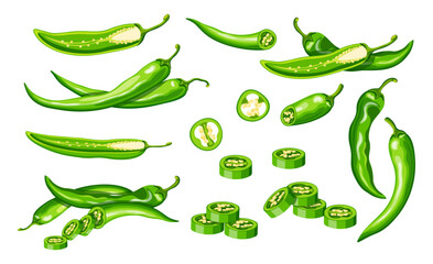 Set of hot green chili peppers in cartoon style. Vector illustration of fresh and spicy chili peppers: whole, sliced, halves, with seeds isolated on white background. Healthy vegetables. Burning.