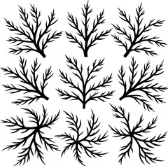 Black silhouettes of pine branches on a white background
