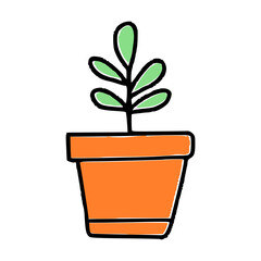 plant in pot