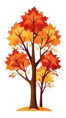 maple tree vector art, illustration of maple tree, maple tree vector illustration, maple tree isolated on white