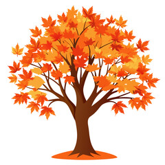 maple tree vector art, illustration of maple tree, maple tree vector illustration, maple tree isolated on white
