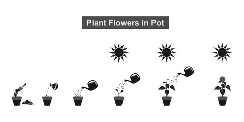 plant growth stages in a pot set. how to plant flower from seeds to sprout and bloom. vector illustration isolated on white background.