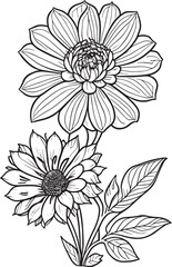 Flower coloring page, hand drown a vintage for adult