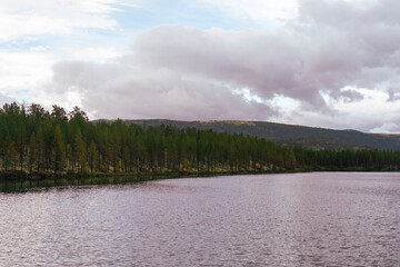 By the Kroktjønna Lakes of Fjellregionen by Grimsbu, Folldal, Norway, in summer.