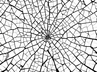 Cracked pattern, black and white isolated on transparent background