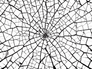 Cracked pattern, black and white isolated on transparent background