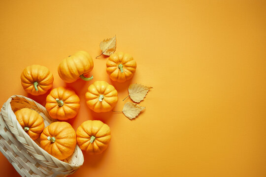 Basket with pumpkins on orange background with copy space. Flat design template for Thanksgiving,