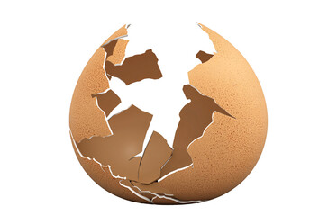 a cracked egg shell with a white background