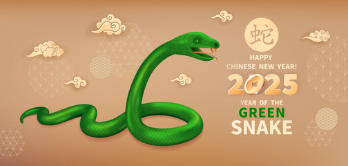 Green wood Snake is a symbol of the 2025 Chinese New Year. Realistic 3d figure of Snake, clouds and decorations on a beige background. Vector illustration of Zodiac Sign. Chinese translation Snake