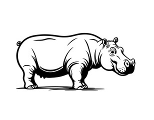 Obraz premium Drawing of a cute hippopotamus, for coloring for example.