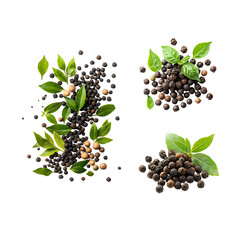 black currant berries