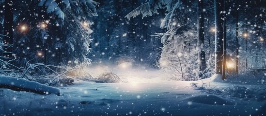 Naklejka premium Enchanted Winter Forest