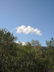 Obraz premium clouds and trees