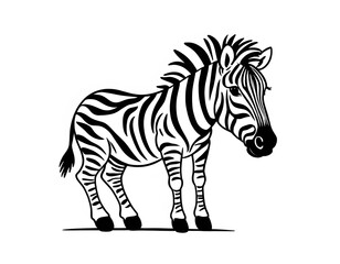 Fototapeta premium Drawing of a cute zebra, for coloring for example.