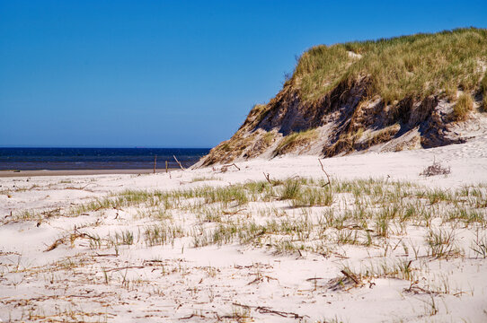 Grass covered Sand dunes on beach by the sea, Juist, Aurich, Lower Saxony, Germany