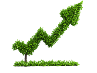 a plant growing up a growing arrow