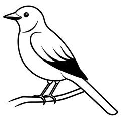 Bird perching on a branch vector art illustration