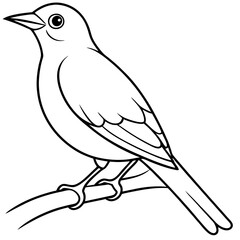 Bird perching on a branch vector art illustration