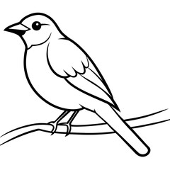 Bird perching on a branch vector art illustration
